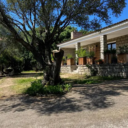 Vue à 5 Minutes à Pied Du Centre De Porto-vecchio Villa *